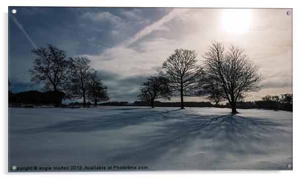 Winter Shadow Acrylic by Angie Morton