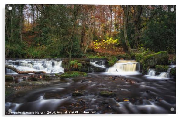 Rivelin Falls in Autumn Acrylic by Angie Morton
