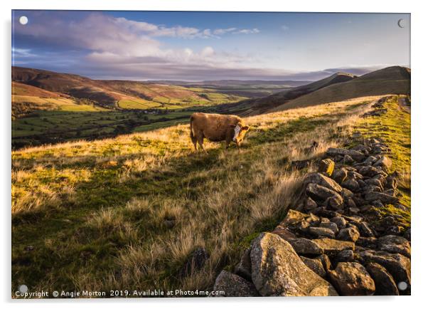 Vale of Edale Acrylic by Angie Morton