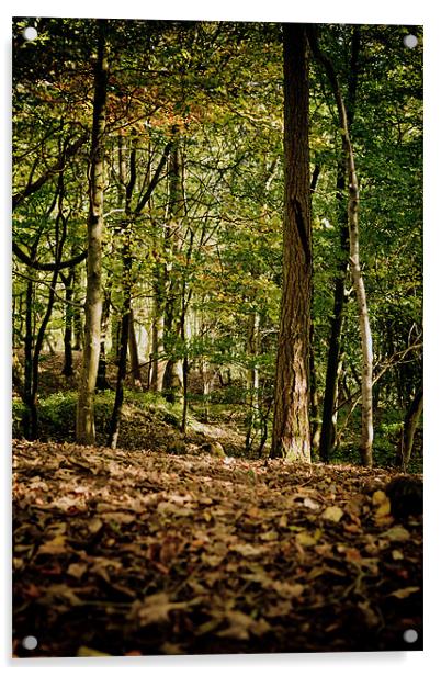 Autumn Woodland Walk Acrylic by Mark Battista