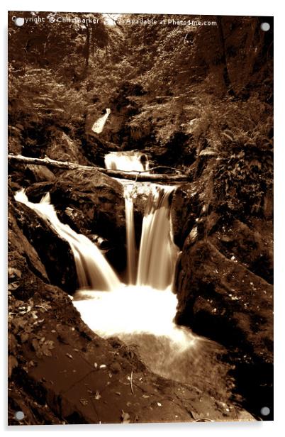Iggleton falls sepia Acrylic by Chris Barker