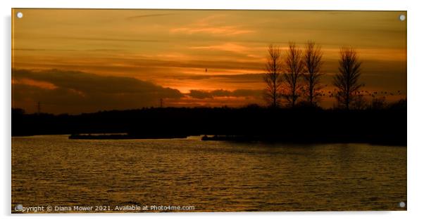 Abberton Reservoir Sunset Essex Acrylic by Diana Mower