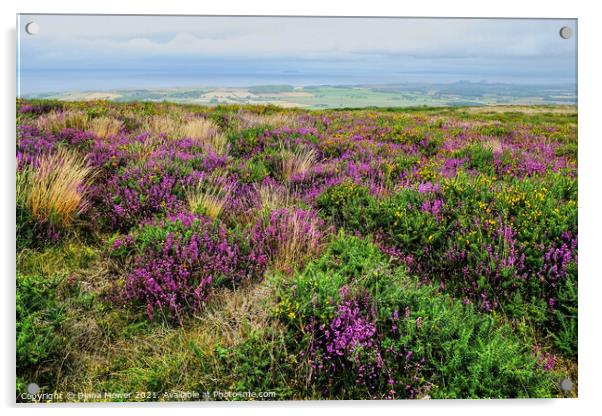 Quantock Hills Heather Somerset Acrylic by Diana Mower