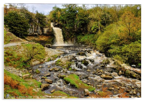 Thornton Force river Twiss Yorkshire Acrylic by Diana Mower