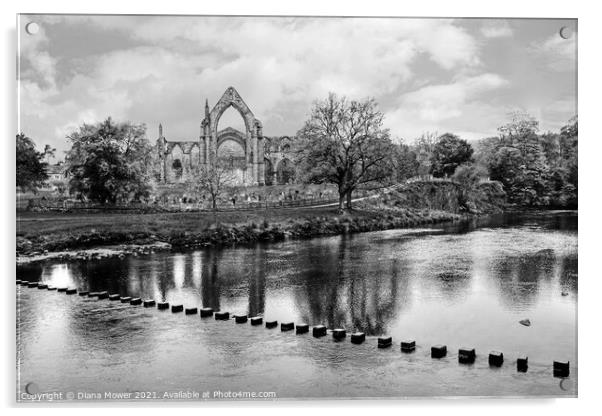 Bolton Abbey Yorkshire Monochrome Acrylic by Diana Mower