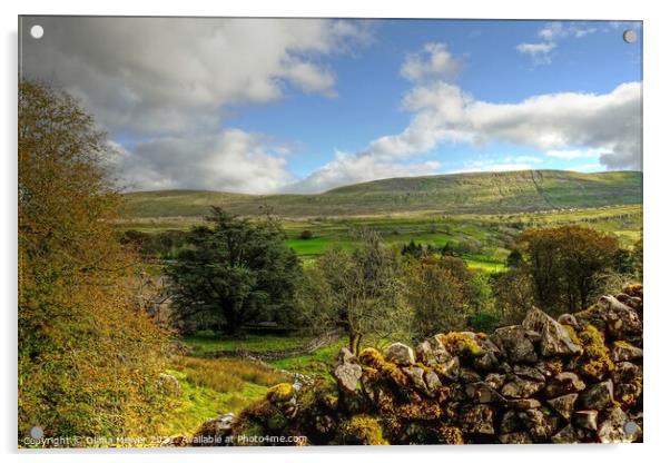 Yorkshire Dales Landscape Panoramic Acrylic by Diana Mower