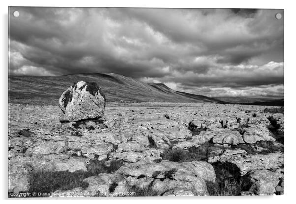 Whernside Erratic Ingelton Yorkshire Acrylic by Diana Mower