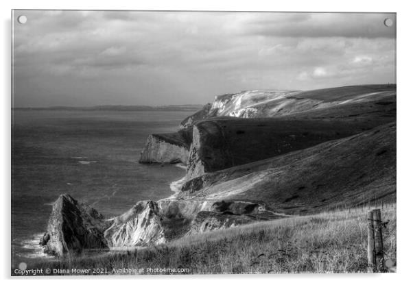 The Jurassic Coast Black and white Acrylic by Diana Mower