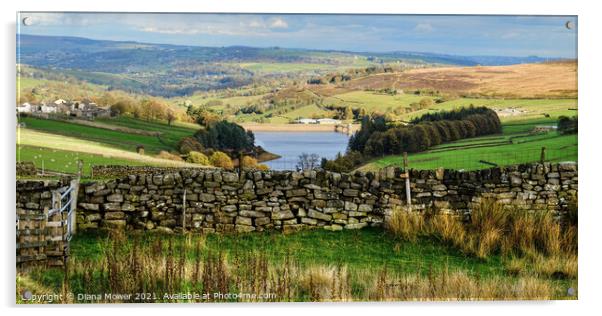 Lower Laithe Yorkshire Panoramic Acrylic by Diana Mower