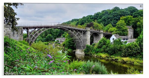 Ironbridge Shropshire Panoramic Acrylic by Diana Mower