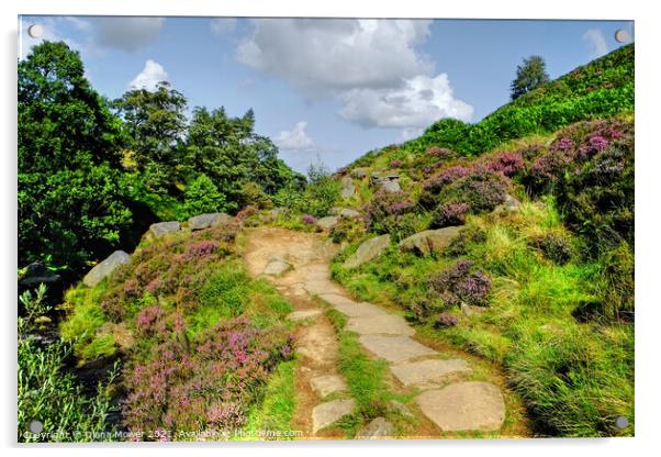 Haworth Moor high Footpath Acrylic by Diana Mower