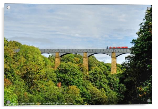 Pontcysyllte Aqueduct View LLangollen  Acrylic by Diana Mower