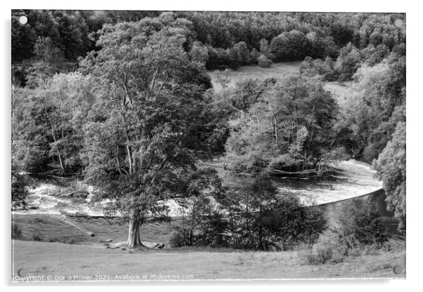 Horseshoe Falls Llangollen black and white Acrylic by Diana Mower