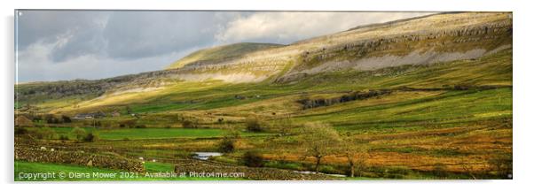 Yorkshire Dales Landscape Panoramic Acrylic by Diana Mower