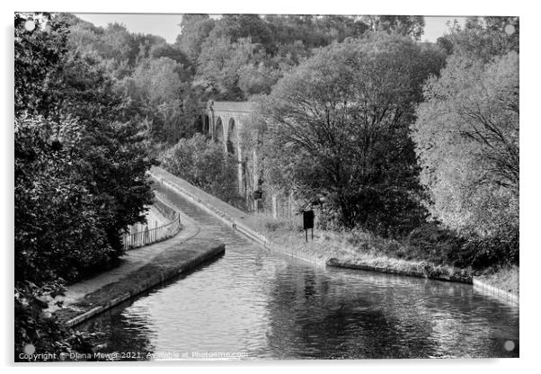 Chirk Aqueduct and Viaduct Mono Acrylic by Diana Mower