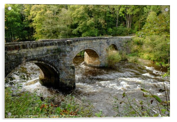 Pont Cysyllte  Wales Acrylic by Diana Mower