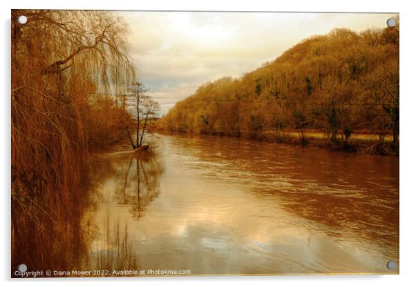 The river Wye in flood  Acrylic by Diana Mower