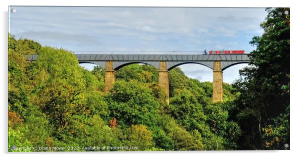 Pontcysyllte Aqueduct Panoramic Acrylic by Diana Mower