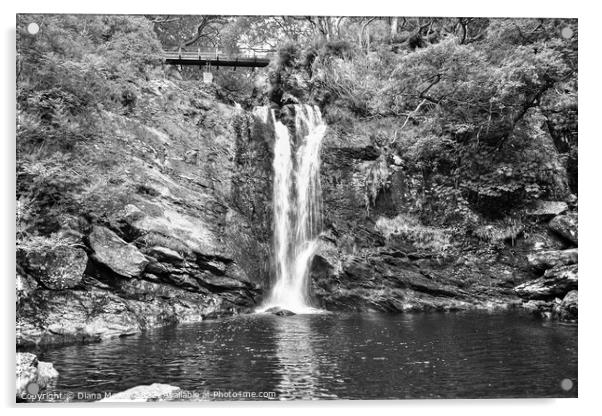 Inversnaid Falls monochrome Acrylic by Diana Mower