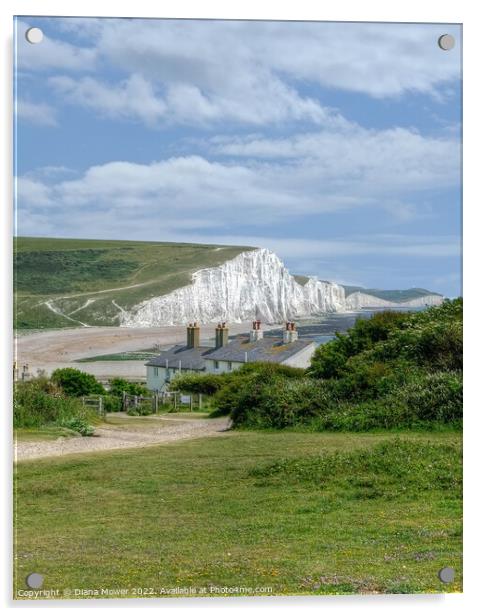  Cuckmere Haven Sussex Acrylic by Diana Mower