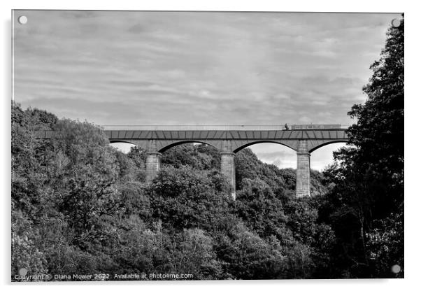 Pontcysyllte Aqueduct Monochrome Acrylic by Diana Mower