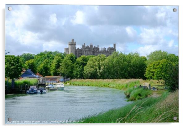 Arundel River Arun and Castle View Acrylic by Diana Mower