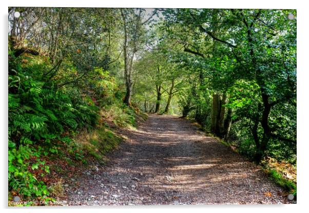 The Wrekin woods Shropshire Acrylic by Diana Mower