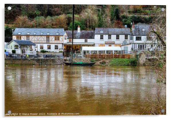 Symonds Yat and Saracens Head Acrylic by Diana Mower