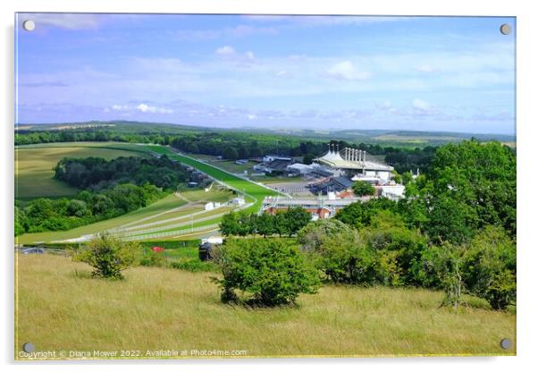 Goodwood from The Trundle Acrylic by Diana Mower