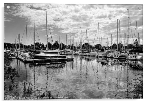 Chichester Marina West Sussex  Monochrome Acrylic by Diana Mower