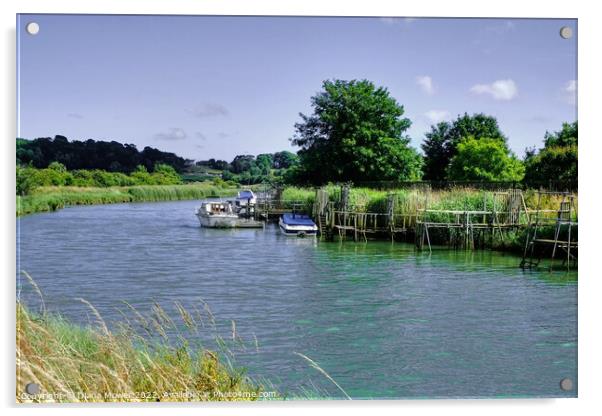 Boats on the River Arun Acrylic by Diana Mower