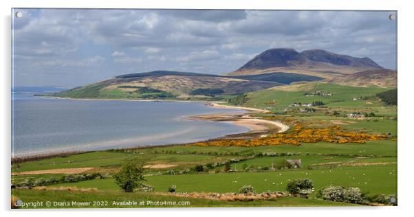 Isle of Arran Panoramic  Coastal view Acrylic by Diana Mower