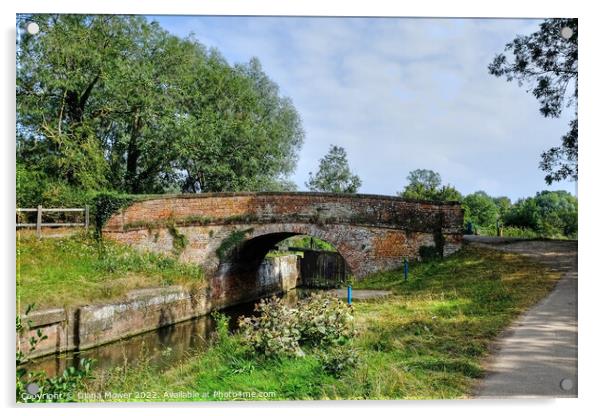 The Old Bridge at Beeleigh Essex Acrylic by Diana Mower