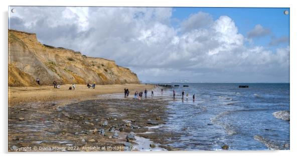 The Naze beach Fossil Hunting Acrylic by Diana Mower