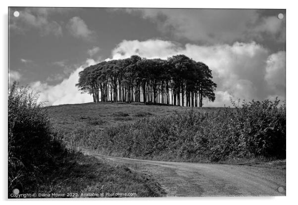  Nearly Home trees monochrome Acrylic by Diana Mower