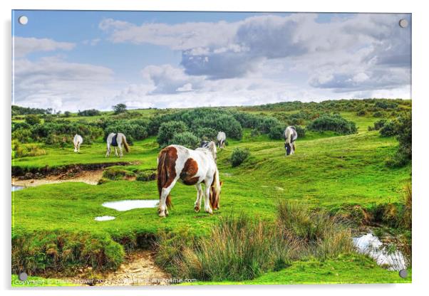 Ponies on Bodmin Moor Acrylic by Diana Mower