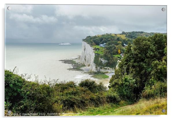 St Margarets Bay From the Cliff tops Acrylic by Diana Mower