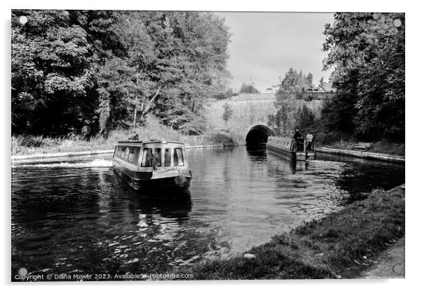 Chirk Canal Tunnel Monochrome Acrylic by Diana Mower
