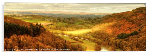 Golden hour at Symonds Yat Panoramic Acrylic by Diana Mower
