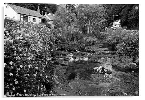 Cheddar Gorge Village in Black and White Acrylic by Diana Mower