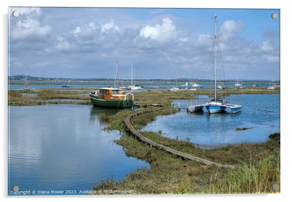 Tollesbury Marshes Moorings Blackwater Estuary  Acrylic by Diana Mower