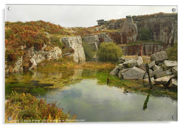 Carbilly Tor old quarry works Acrylic by Diana Mower