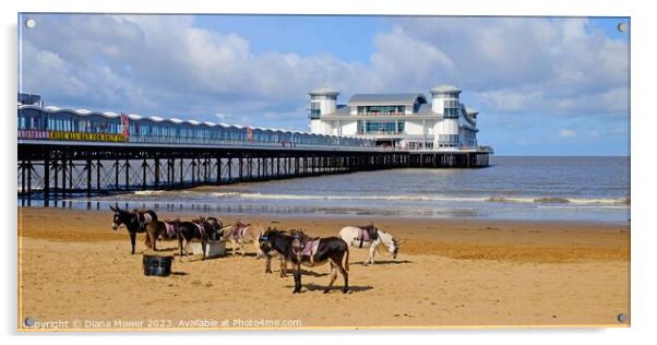 Weston-super-Mare Donkeys on the Beach Acrylic by Diana Mower