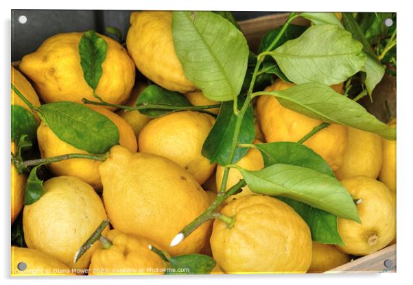 Sorrento Lemons Acrylic by Diana Mower