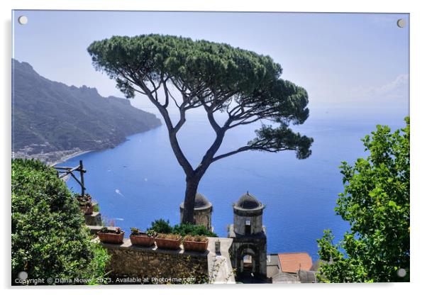 Ravello Views Italy Acrylic by Diana Mower