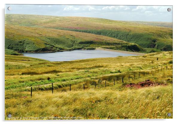Wessenden Head Reservoir West Yorkshire Acrylic by Diana Mower