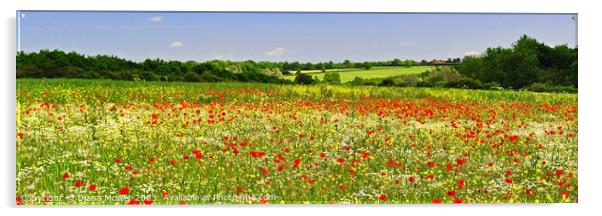 Poppy Field Panoramic Acrylic by Diana Mower