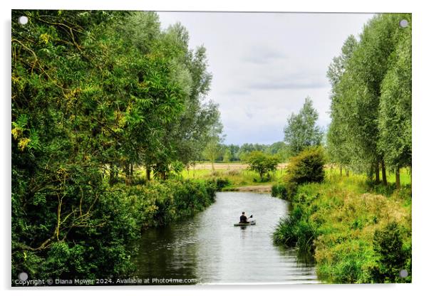 Chelmer and Blackwater kayaking  Acrylic by Diana Mower