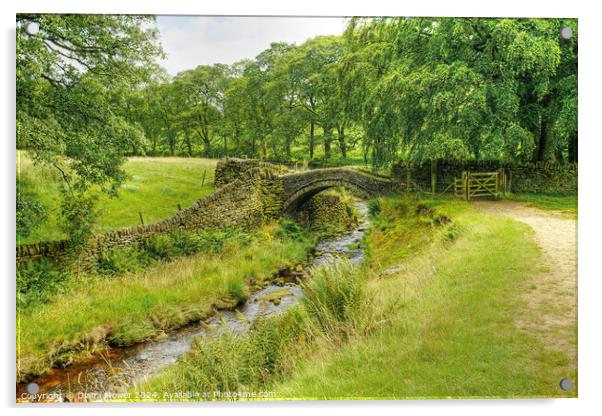Eastergate Bridge Marsden Moor Yorkshire Acrylic by Diana Mower