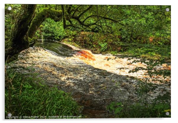 Hebden Beck near Hardcastle Crags Acrylic by Diana Mower